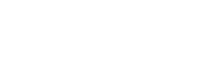 Ace Online Logo