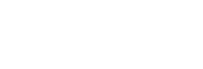 Ace Online Logo