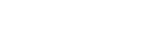 Ace Online Logo